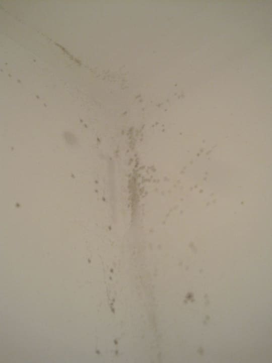 Schimmel im Bad Hotel 66