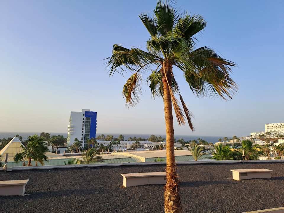 Ausblick Servatur Alameda de Jandía