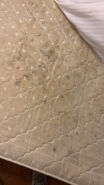 Zimmer Luna Beach Deluxe Hotel