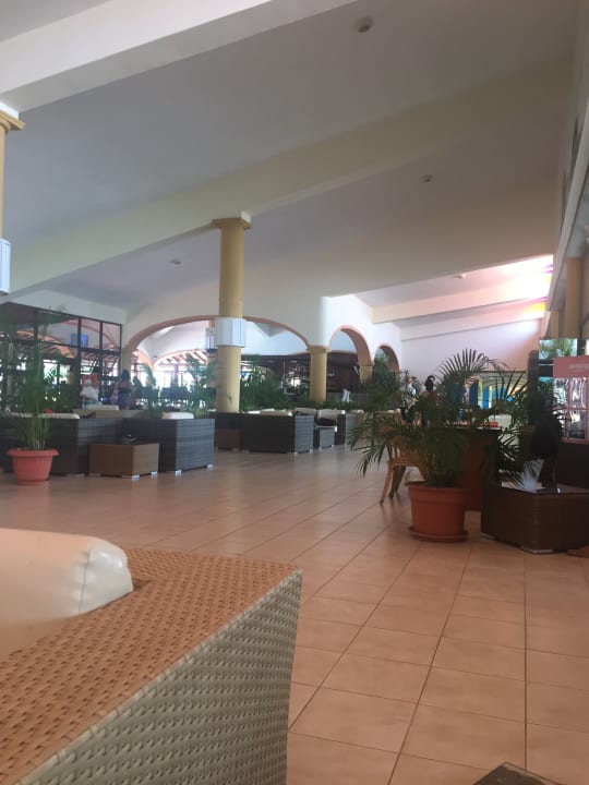 Lobby Starfish Cuatro Palmas