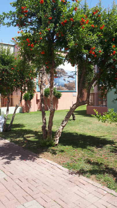 Gartenanlage VONRESORT Golden Beach