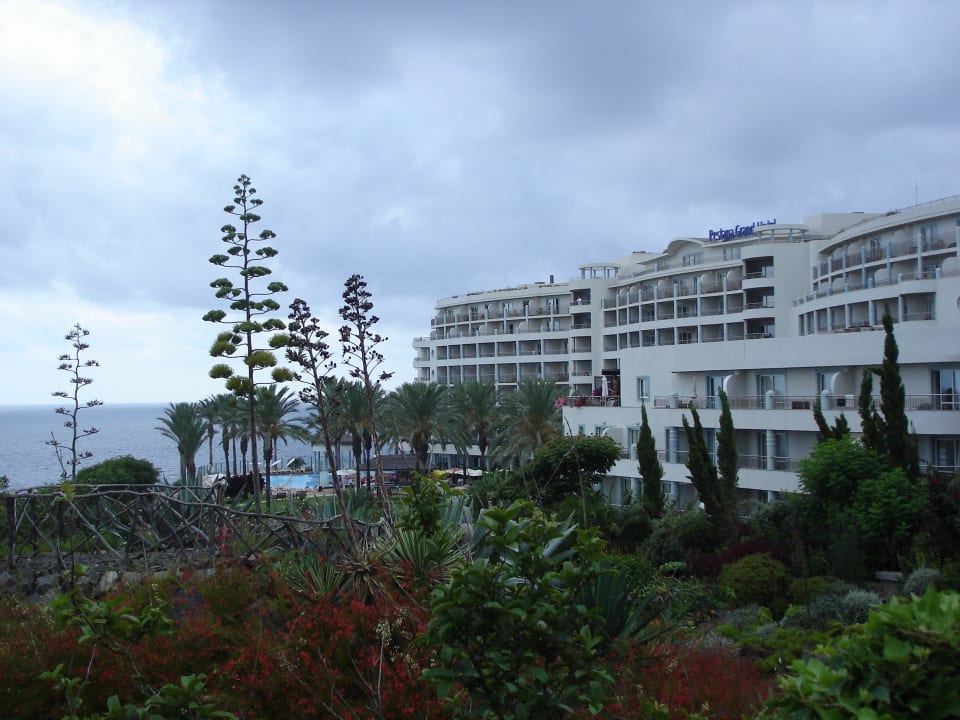 Tropische Pflanzen rund ums Hotel Pestana Grand Ocean Resort