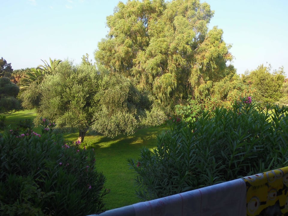 Blick vom Balkon (Bungalow) Caravia Beach Hotel