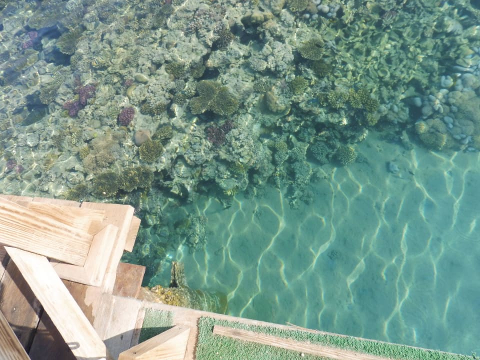 Super klares Wasser Cleopatra Luxury Resort Makadi Bay