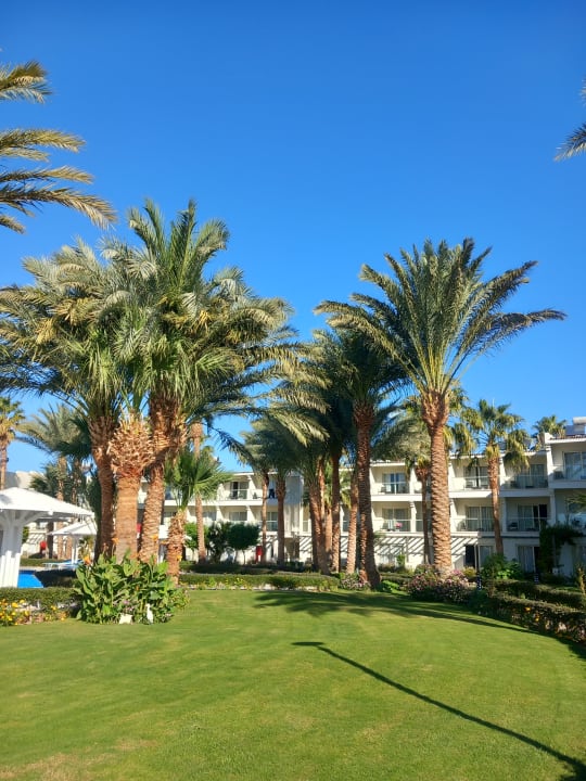 Gartenanlage Amarina Abu Soma Resort & Aquapark