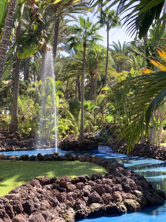 Gartenanlage Hotel Riu Palace Oasis