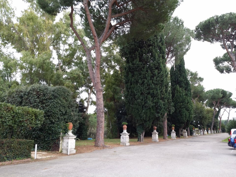 Der unglaublich schöne garten der hotelanlage!  TH Roma - Carpegna Palace
