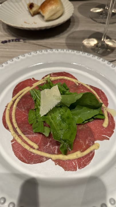 Gastro Acanthus Cennet Barut Collection