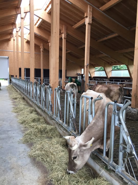 Sport & Freizeit Bio-Pferdehof Schöll