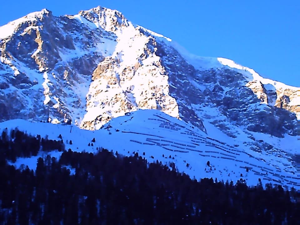 "König Ortler" über 3900 m Villa Reinstadler