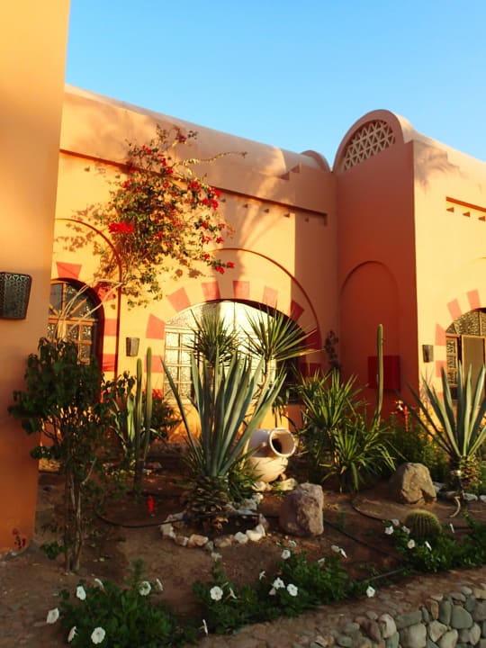 Bepflanzung vorm Eingang Jaz Makadi Oasis Resort