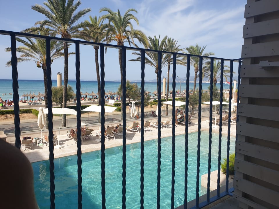 Ausblick Myseahouse Flamingo - Adults only