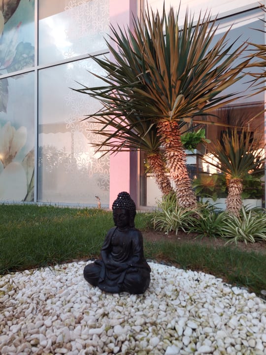 Gartenanlage Sentido Neptun Beach