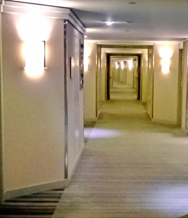 Endlos!  Hilton Dresden