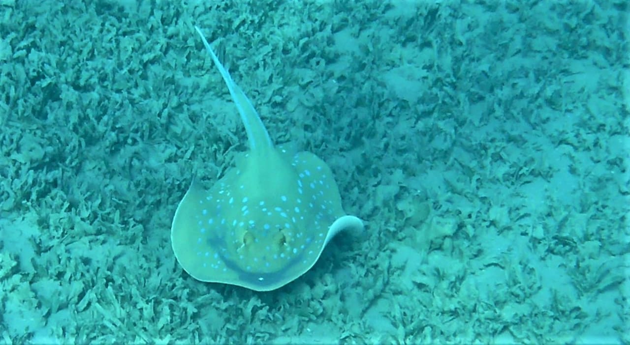 Sport & Freizeit Cleopatra Luxury Resort Makadi Bay