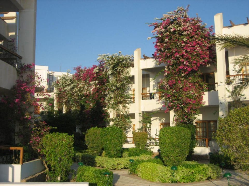 Hotel Menaville Menaville Safaga