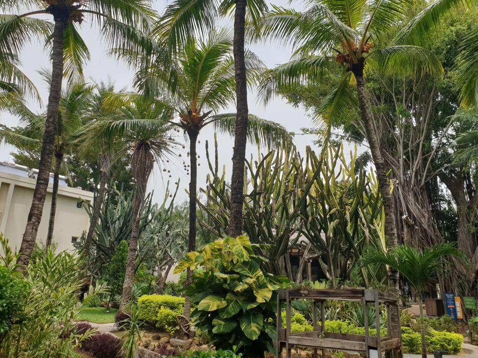 Gartenanlage Lagoon Attitude - Adults only