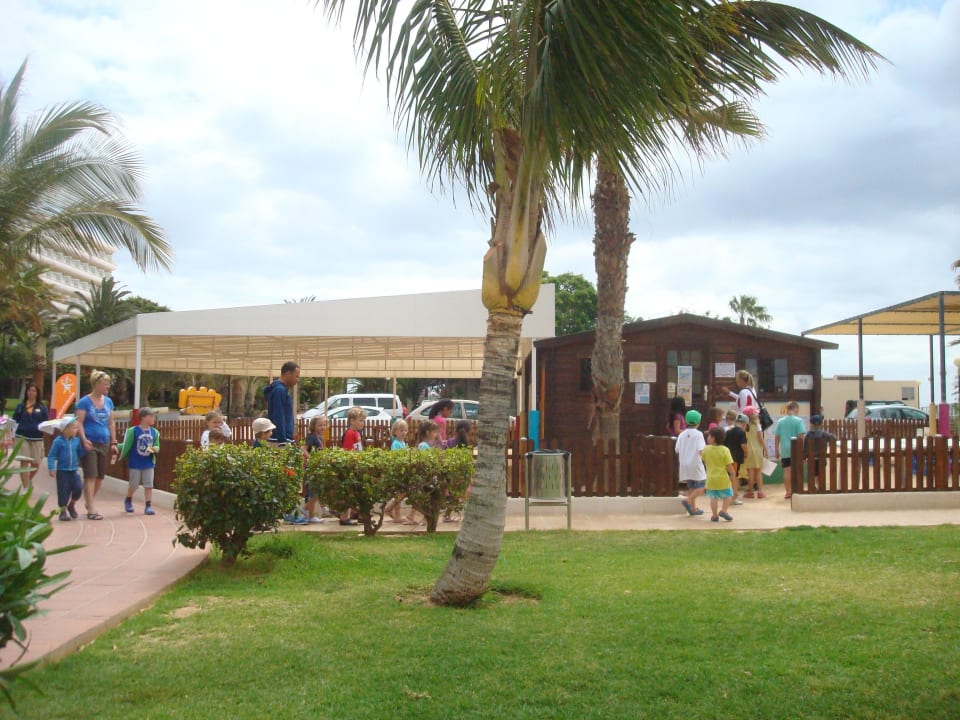 Miniclub Hotel Riu Oliva Beach Resort