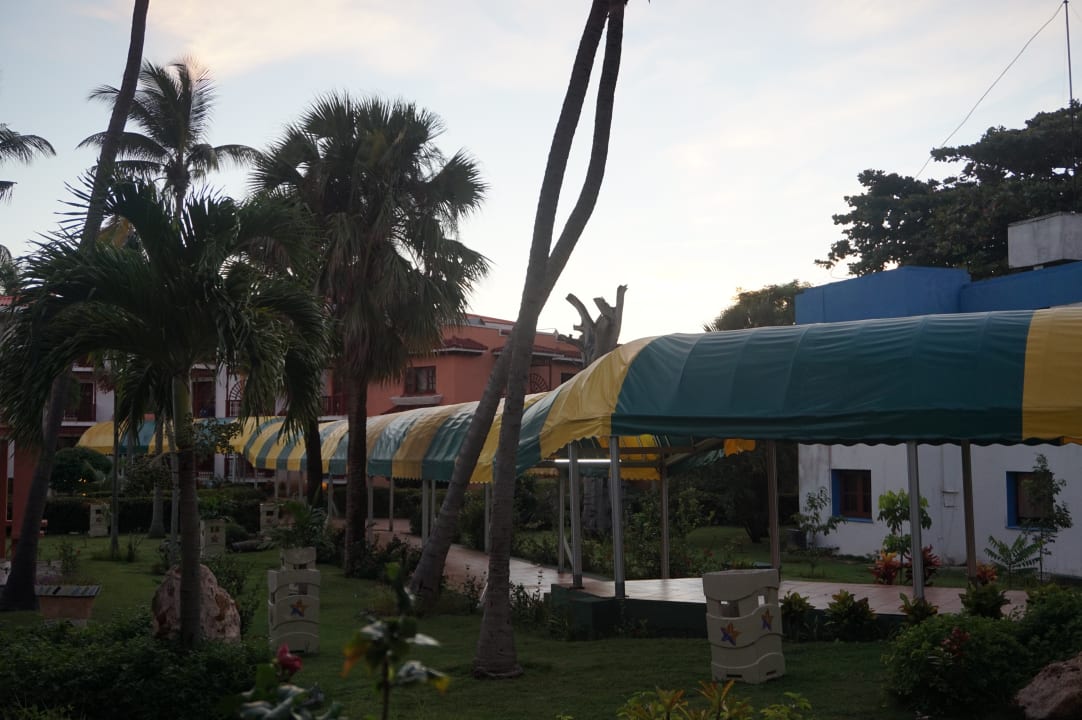 Gartenanlage Starfish Cuatro Palmas