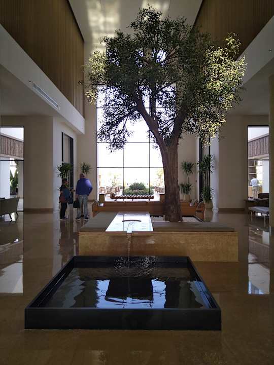 Sonstiges JAZ Elite Amara