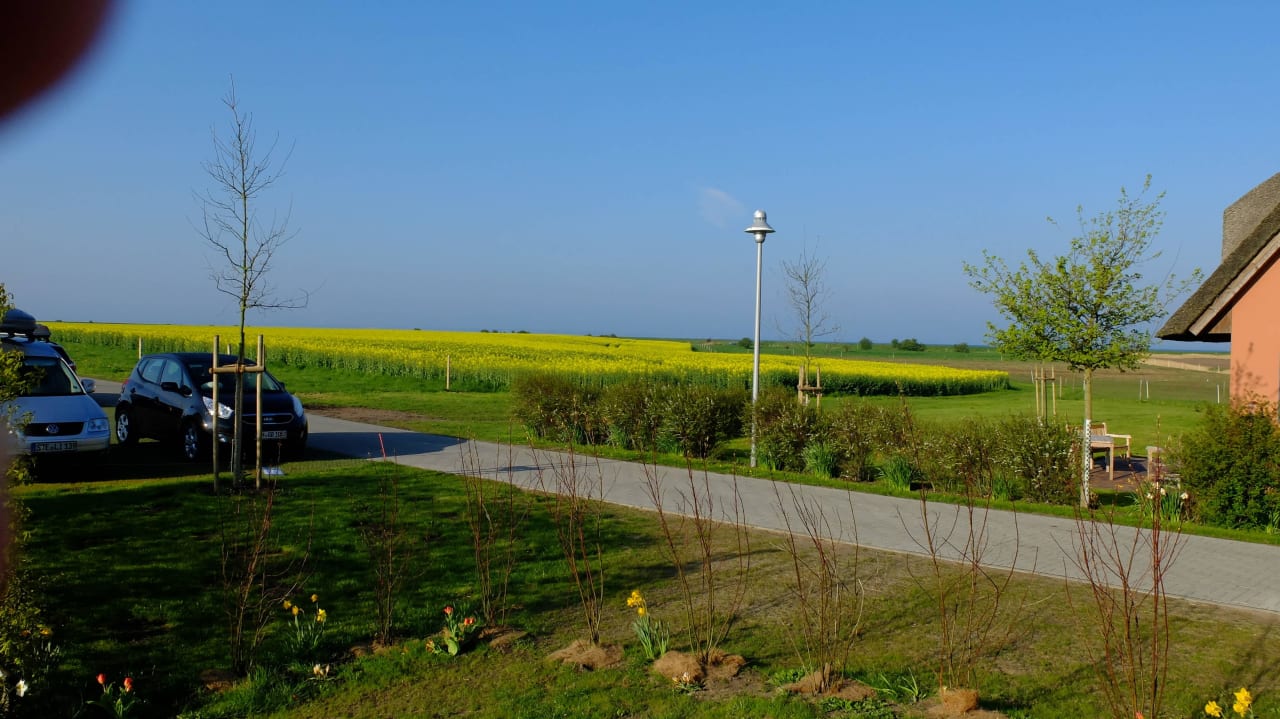 Richtung Pferdekoppel/Deich Rügen-Ferienhof