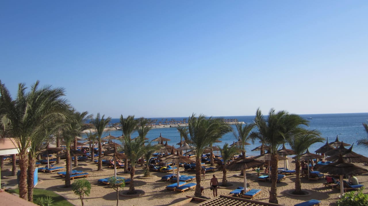 Der Hoteleigene Strand Beach Albatros Resort