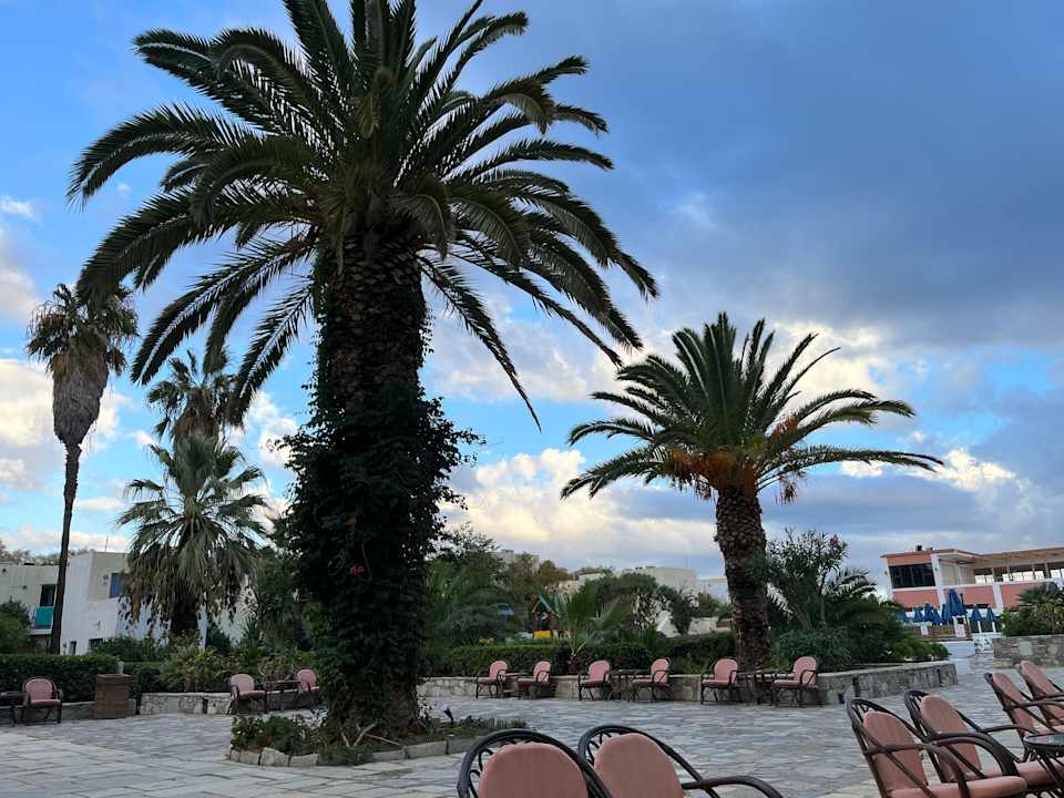 Gartenanlage Dessole Dolphin Bay Resort