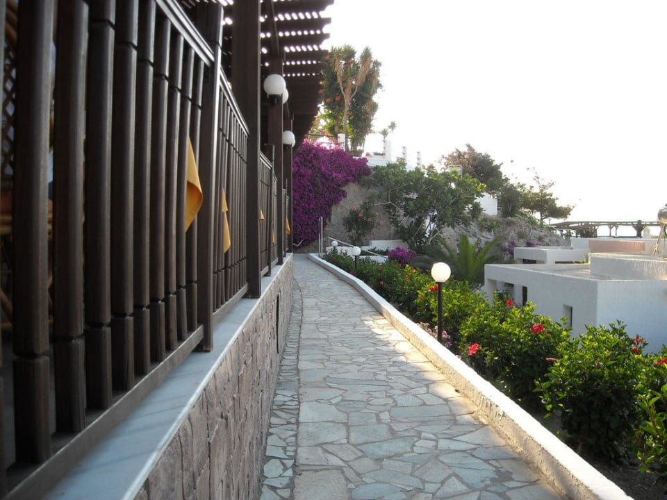 Vue sur les jardins Dimitra Beach Hotel & Suites