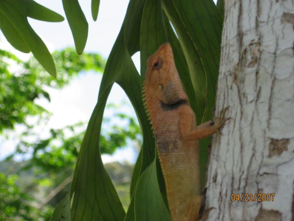 Begegnung Peace Laguna Resort Peace Laguna Resort and Spa