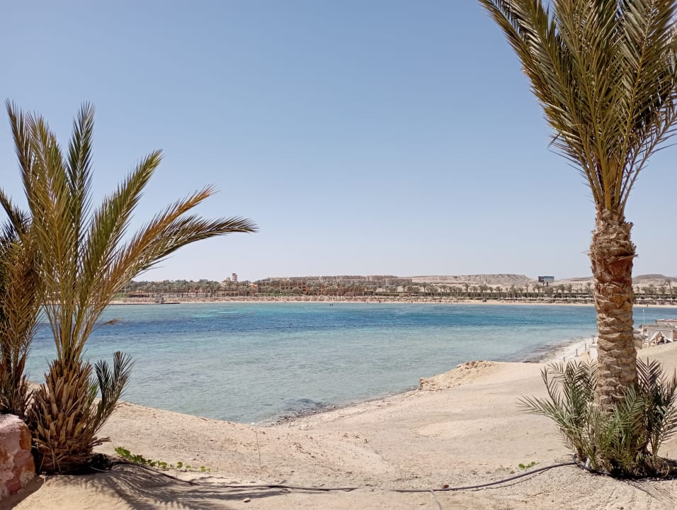 Ausblick Steigenberger Coraya Beach - Adults only