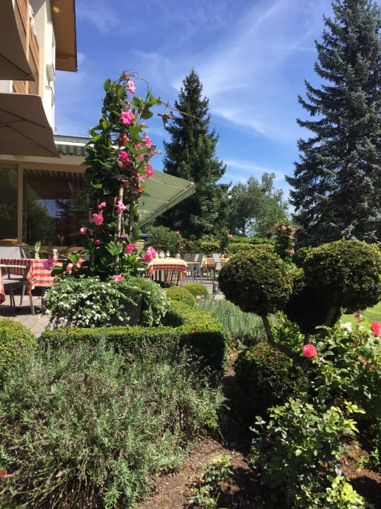 "Wunderschön angelegter Garten" Hotel SeeRose (Bodensdorf