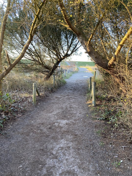 Strand Ferienwohnungen Ferienpark Weissenhäuser Strand