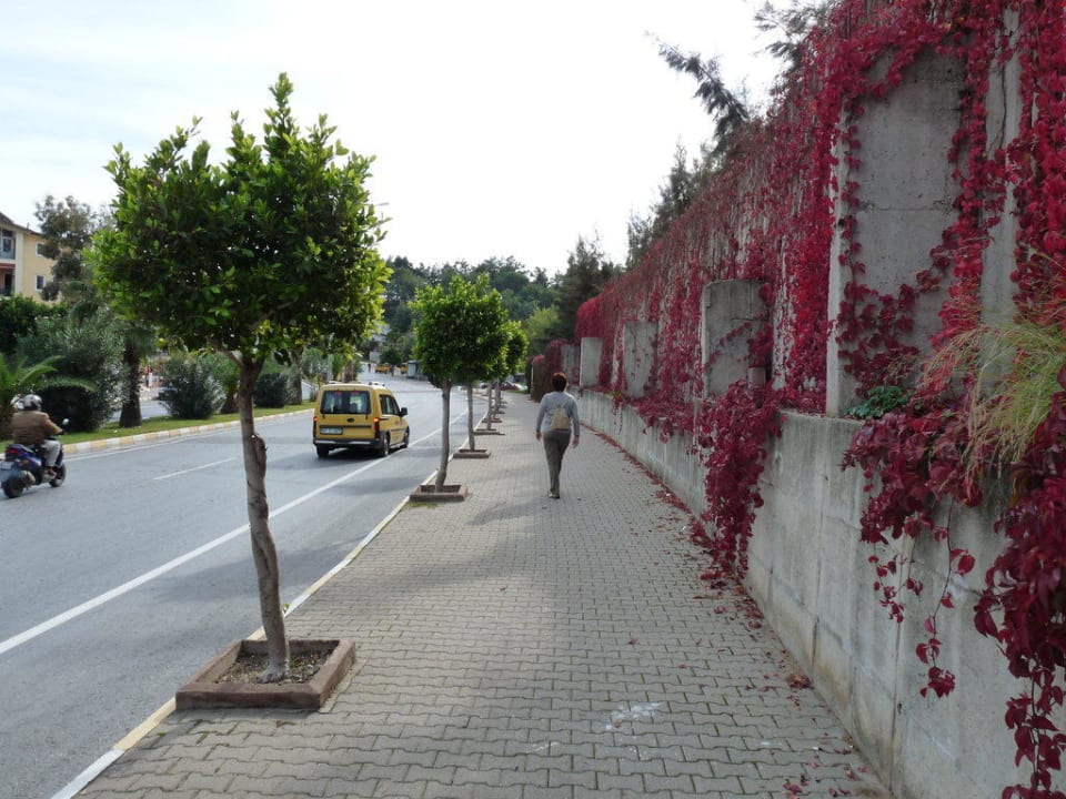 Straße vor dem Hotel Defne Star Hotel Defne Star