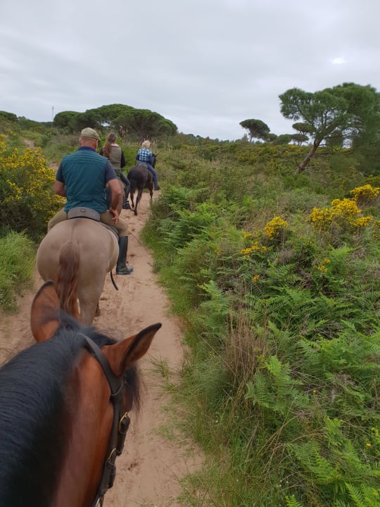 Ausritt Picadero Fuente del Gallo