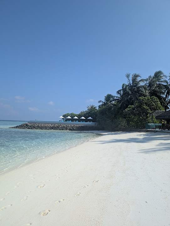Strand Summer Island Maldives