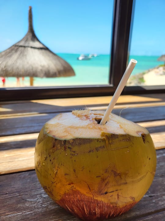 Gastro Lagoon Attitude - Adults only