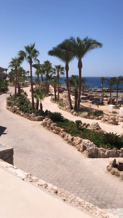 Ausblick Pickalbatros Citadel Resort