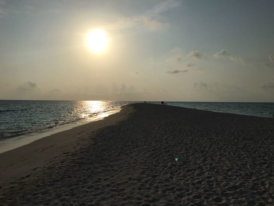 Sandbank Kuramathi Maldives