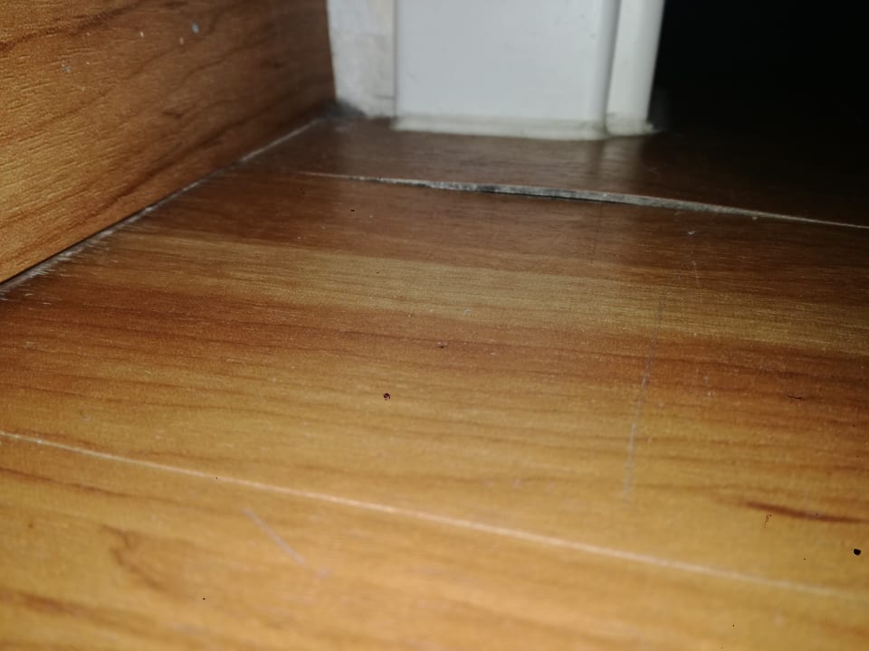 Zimmer Panoramic - Ihr Apartmenthotel im Harz