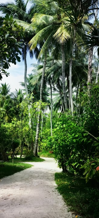 Gartenanlage Kuramathi Maldives