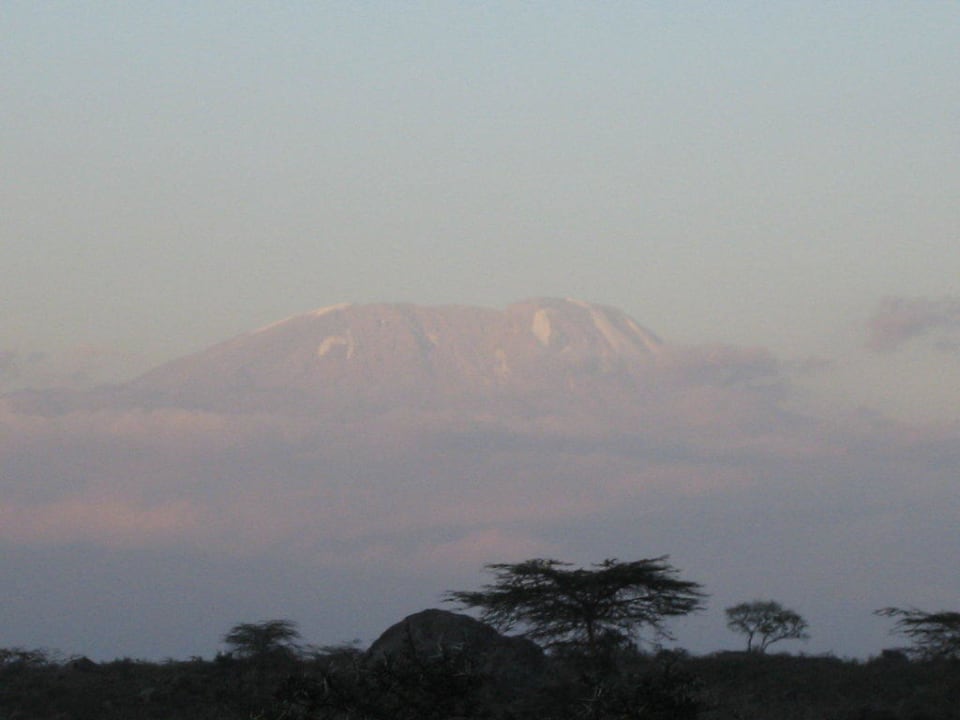 Blick vom Garten auf den Kilimanjaro Momela Wildlife Lodge