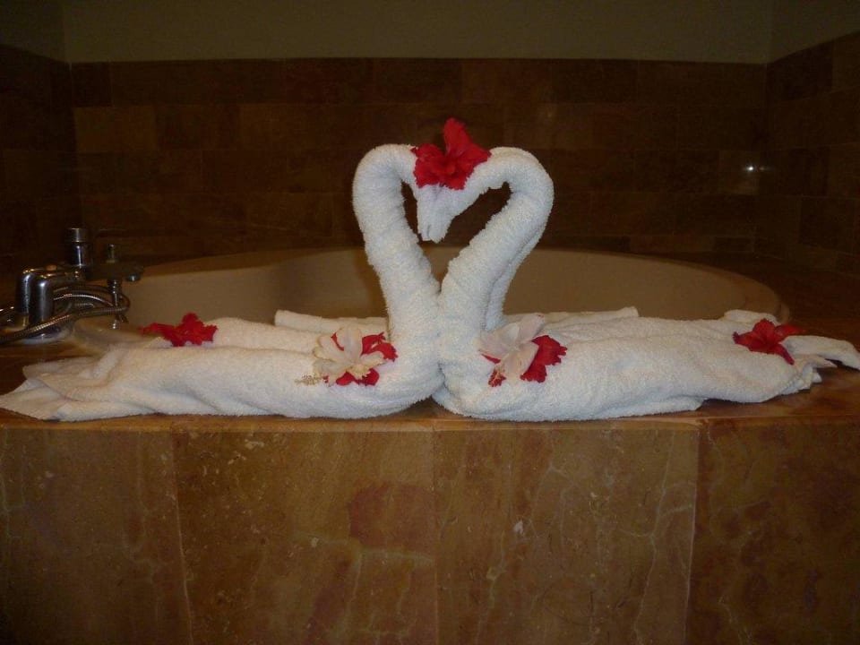 Handtuch-Tiere Catalonia Punta Cana - All Inclusive