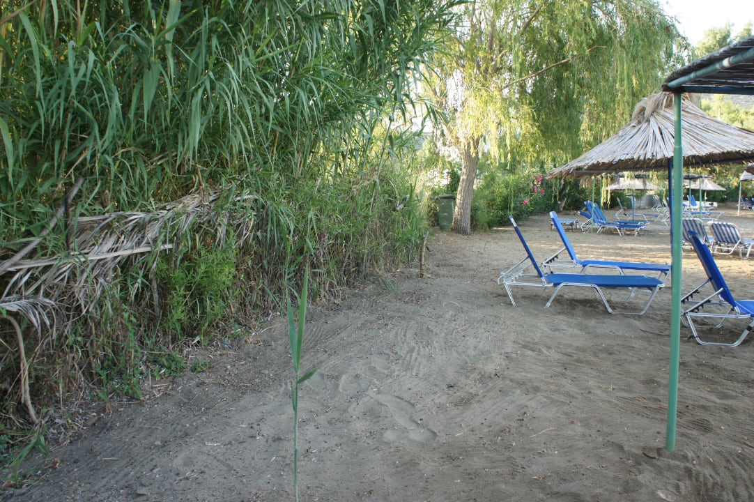 Strand Hotel Venus Beach