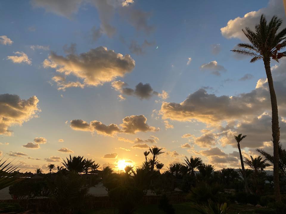 Ausblick Hotel Seabel Rym Beach Djerba