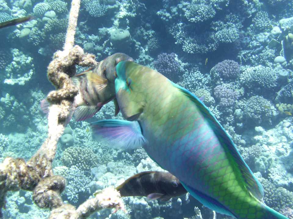 Sport & Freizeit Makadi Spa - Adults only