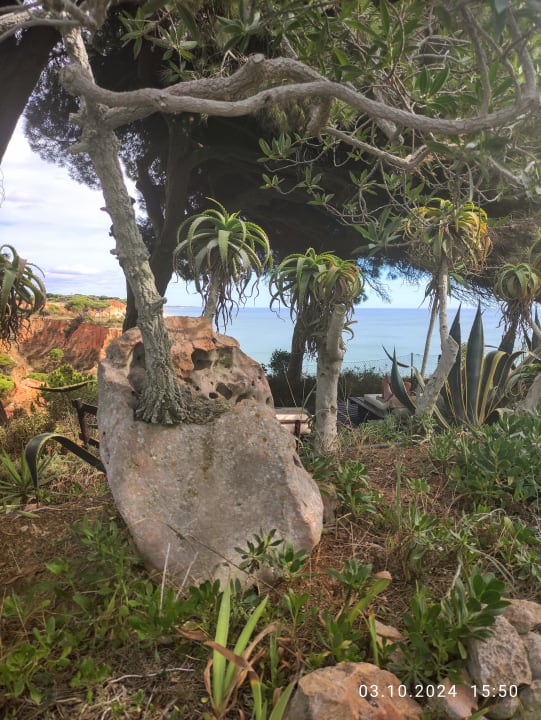 Gartenanlage PortoBay Falésia