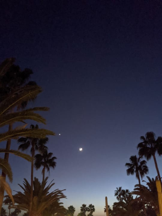 Gartenanlage Hotel Riu Gran Canaria