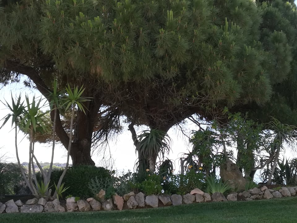 Gartenanlage PortoBay Falésia