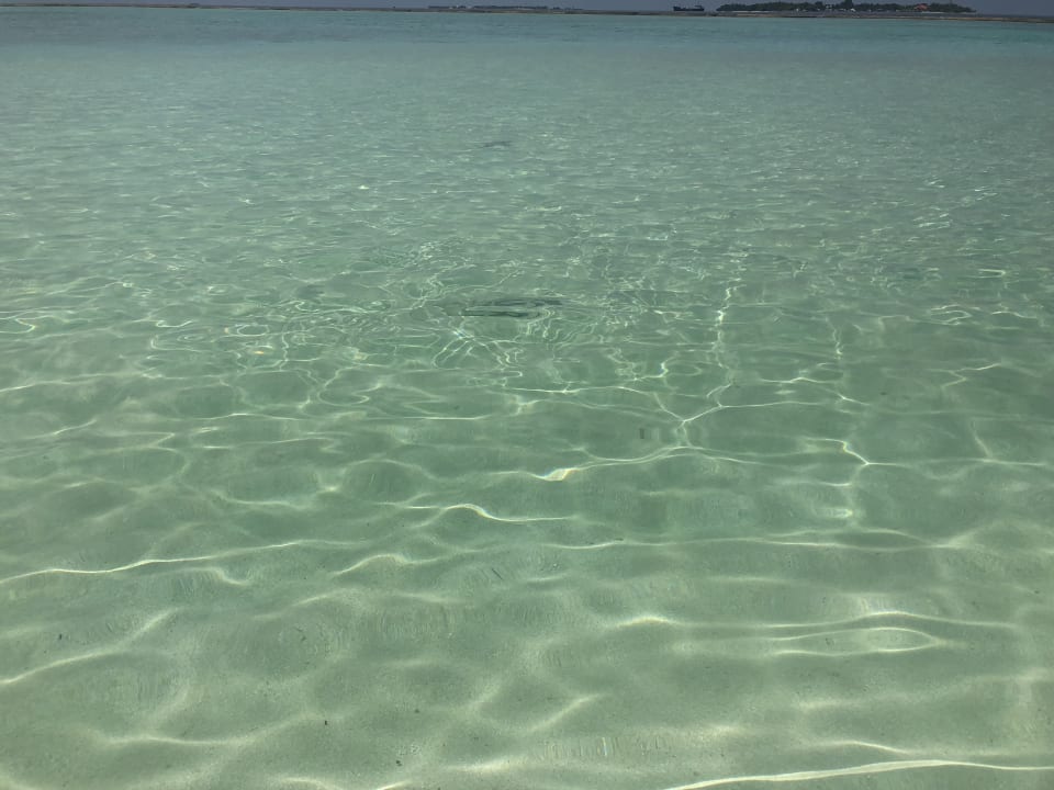 Außenansicht Adaaran Select Meedhupparu Island Resort - Premium All Inclusive