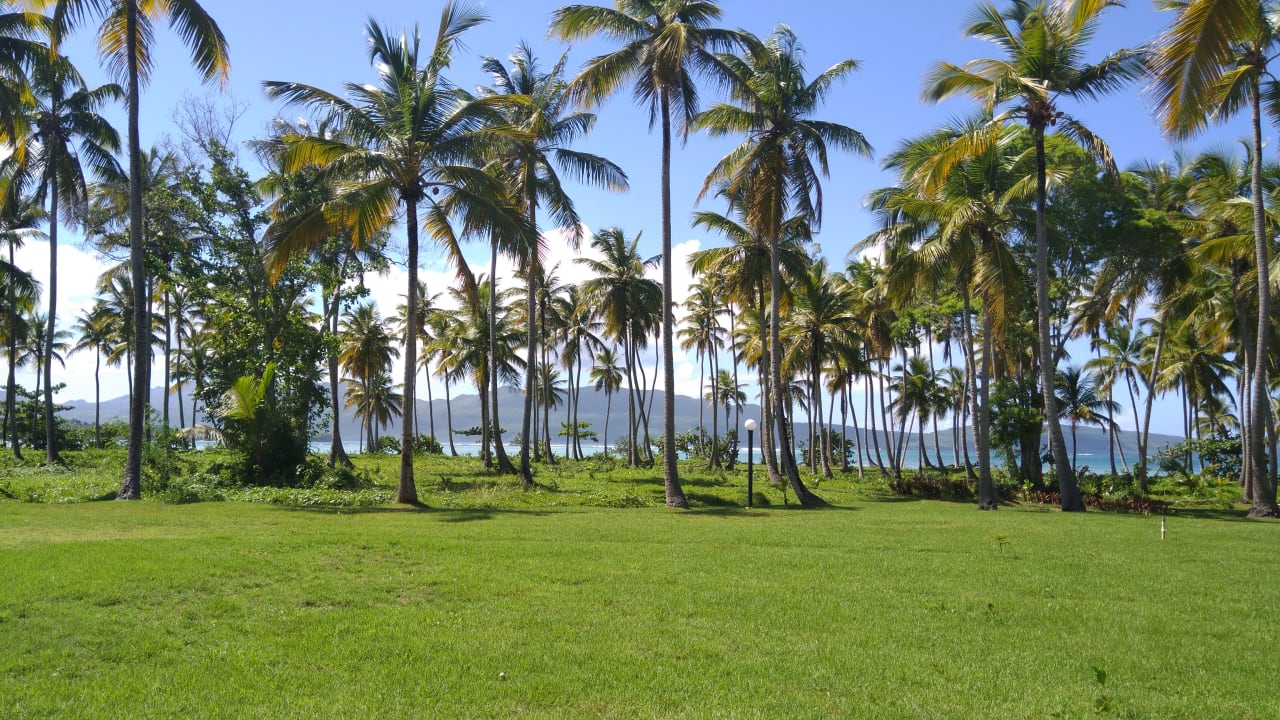 Ausblick Wyndham Alltra Samana